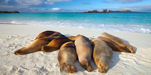 Expedition to Galápagos & the Amazon