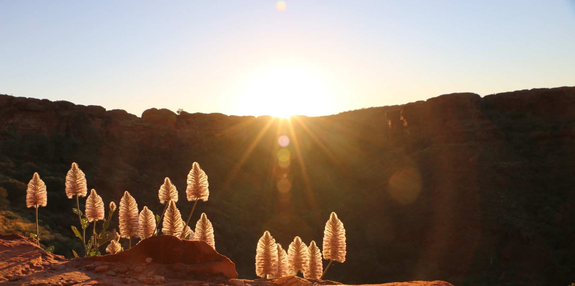 Kings Canyon Sunset Experience