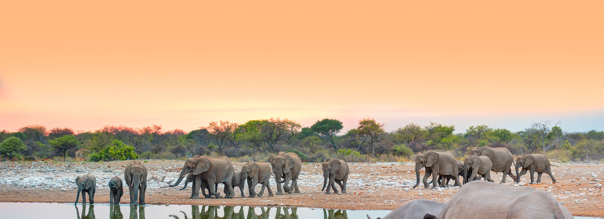Tailor-Made Journeys banner
